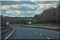Ermington : Devon Expressway A38 in PL21 9EW