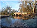 Bridge in Swallowfield Park in RG7 1QX