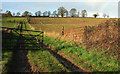 Track and farmland by Withyditch Lane in BA2 0EE