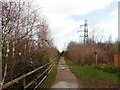 Path to Portbury Wharf nature reserve in BS20 7EA