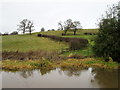 Fields above the Shropshire Union Canal in Tiverton and Tilstone Fearnall