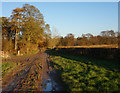 Track leading to New Road, Harpham in YO25 4QZ