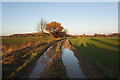 Track leading to Lowthorpe in East Wolds and Coastal Ward