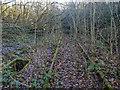 Disused Railway Lines between Silverdale Tunnel and Keele Station in ST5 6QN