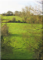 Pasture across the Lam Brook valley in BA1 8AP