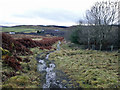 Path to Skeabost Bridge in IV51 9PG