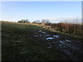 Muddy entrance to a field off Traitor's Ford Lane in OX15 5BU