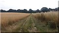 Path to Taplin's Farm Lane in RG27 8ZQ