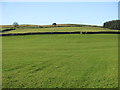 Farmland at Hanging Wells in DL13 2AG