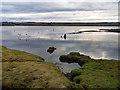 Flooded saltings near Dalmore Pier in IV17 0UT