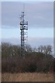 Cellular tower in PE9 2NN
