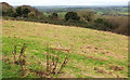 Grassland on Tog Hill in BS30 5RU