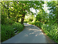 Day's Lane towards Doddinghurst in Pilgrims Hatch Ward