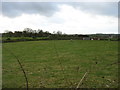Farmland south of the A55 in LL65 4ST