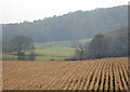Farmland near Wassell Wood in DY11 6EX