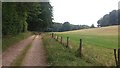 Bridleway heading to Allwood Copse in RG25 2NG