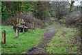 Path near Avon Heath Country Park in BH24 2WB
