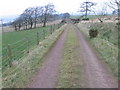 Track to Greenrig in Lanarkshire