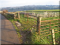 Sheepfold by Kirkfield Road looking towards Lanark in ML11 9UQ