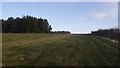 Field near Whiteburn in TD11 3RZ