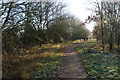 Woodland path on Wicken Fen in CB7 5YB
