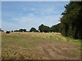 Stubble field with bales near Croughton in CH2 4DA