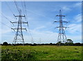 Field and pylons off Rake Lane in CH2 4DD