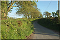 Lane to Dennington Cross in EX32 0QD