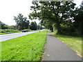 Cycle path beside the A5117 in CH66 2EX