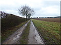 Farm track near Chilton Park Farm in RG17 0QT
