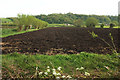 Ploughed field near Henley in TA10 9BG