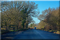 Ashreigney : The A3124 in EX18 7PP