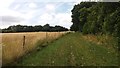 Bridleway heading up Windmill Hill in RG25 2HL