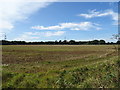 Field off Willaston Road (B5151) in CH64 7UB