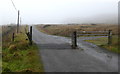 Cattle grid along Dhustone Lane in SY8 3PH