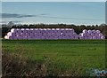 Bales of hay by Bridge Lane. Rawcliffe Bridge in DN14 8NR