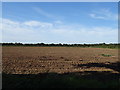 Field off Thornton Common Road (B5136) in Clatterbridge Ward
