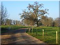 Driveway to Trunkwell House, Beech Hill in Beech Hill