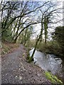 Footpath through woodland alongside Pennard Pill in SA3 2ER