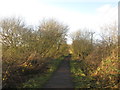 Wetherby Railway Path in LS23 7FF