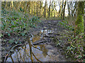 Muddy path in Cottingley Wood in BD16 1RB