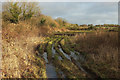 Ruts in field by Bar Lane in HG5 0NR