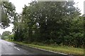 Woodland by the A1120, Pettaugh in IP14 6AX