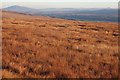 Moorland east of Broc-bheinn in IV47 8SP