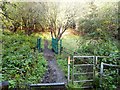 Footbridge over the Twizell Burn in DH2 3JU