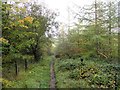 Footpath on the south side of the Twizell Byrn in DH2 3JU