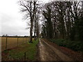 Avenue to Home Farm, Thornhaugh in Thornhaugh