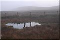 Bog pool on Henderland Hill in TD7 5LG