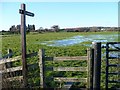 Flooded footpath near Marshfield in CF3 2TD