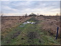 Path on part of Whixall Moss in SY13 2LB